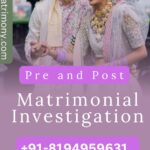 pre matrimonial detective