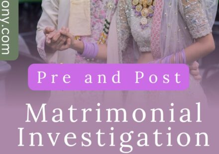 pre matrimonial detective